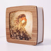 Soft Daydream Seasonal Transparency | ©Conscious Craft